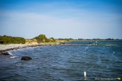 DSC02902