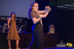 BaHu-Fasching-ProBa-02-2026@E.S-Photographie-232