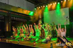 BaHu-Fasching-ProBa-02-2026@E.S-Photographie-280