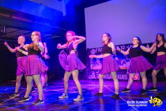 BaHu-Fasching-ProBa-02-2026@E.S-Photographie-460