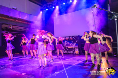 BaHu-Fasching-ProBa-02-2026@E.S-Photographie-464