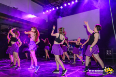 BaHu-Fasching-ProBa-02-2026@E.S-Photographie-478