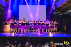 BaHu-Fasching-ProBa-02-2026@E.S-Photographie-485