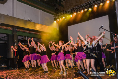 BaHu-Fasching-ProBa-02-2026@E.S-Photographie-498