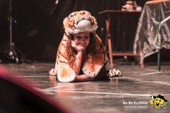 Großer_BaHu_Fasching_ProgrammI_Backstage_2020@E.S.-Photographie-26