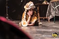 Großer_BaHu_Fasching_ProgrammI_Backstage_2020@E.S.-Photographie-27