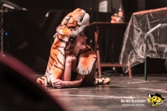 Großer_BaHu_Fasching_ProgrammI_Backstage_2020@E.S.-Photographie-34