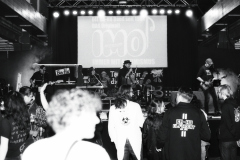 imm006_N6
