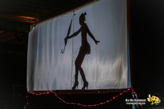 1_Gr_BaHu-Fasching-70th-2024_@E.S-Photographie-133