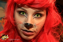 Kleiner Ba-Hu Fasching 2016